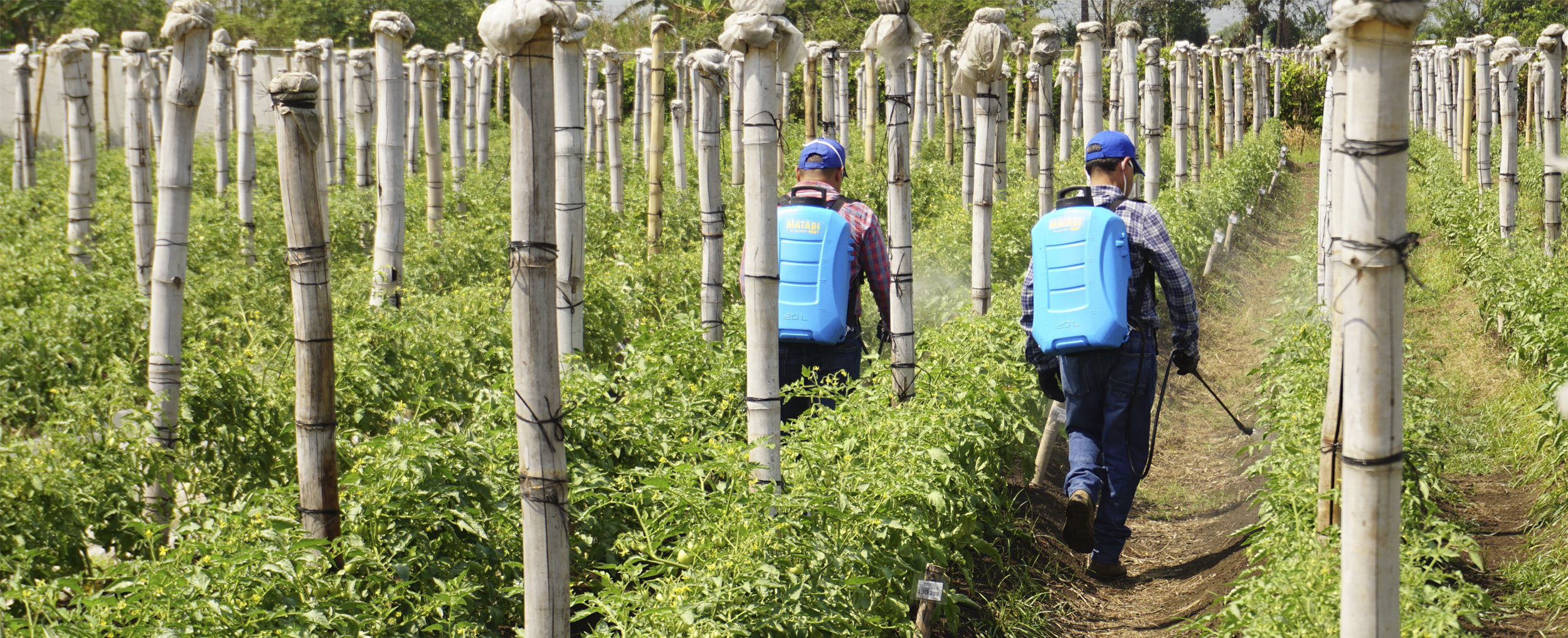 Pulvérisateur électrique Evoltuion 20 LTCS pour cultures agricoles extensives