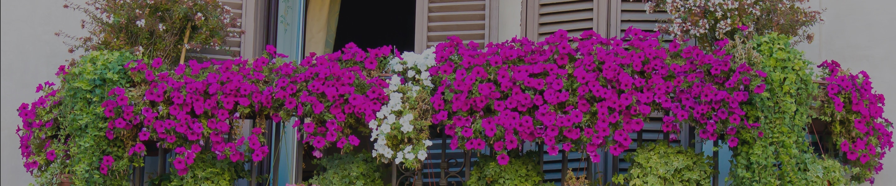 Jardin Particulier Jardin Particulier